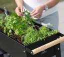 Herstera Garden kovinska visoka greda na kolesih Wheels 10