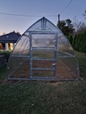 Greenhouse Stevia